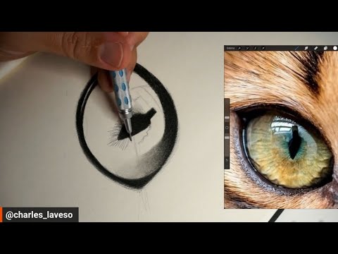 COMO FAZER UM DESENHO REALISTA DE OLHO DE GATO - Estudo 50 de 60 - YouTube