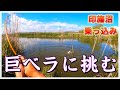 『この沼の巨ベラを釣り上げたい』本当にあった執念の30日間の物語