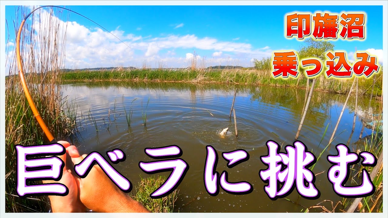 『この沼の巨ベラを釣り上げたい』本当にあった執念の30日間の物語