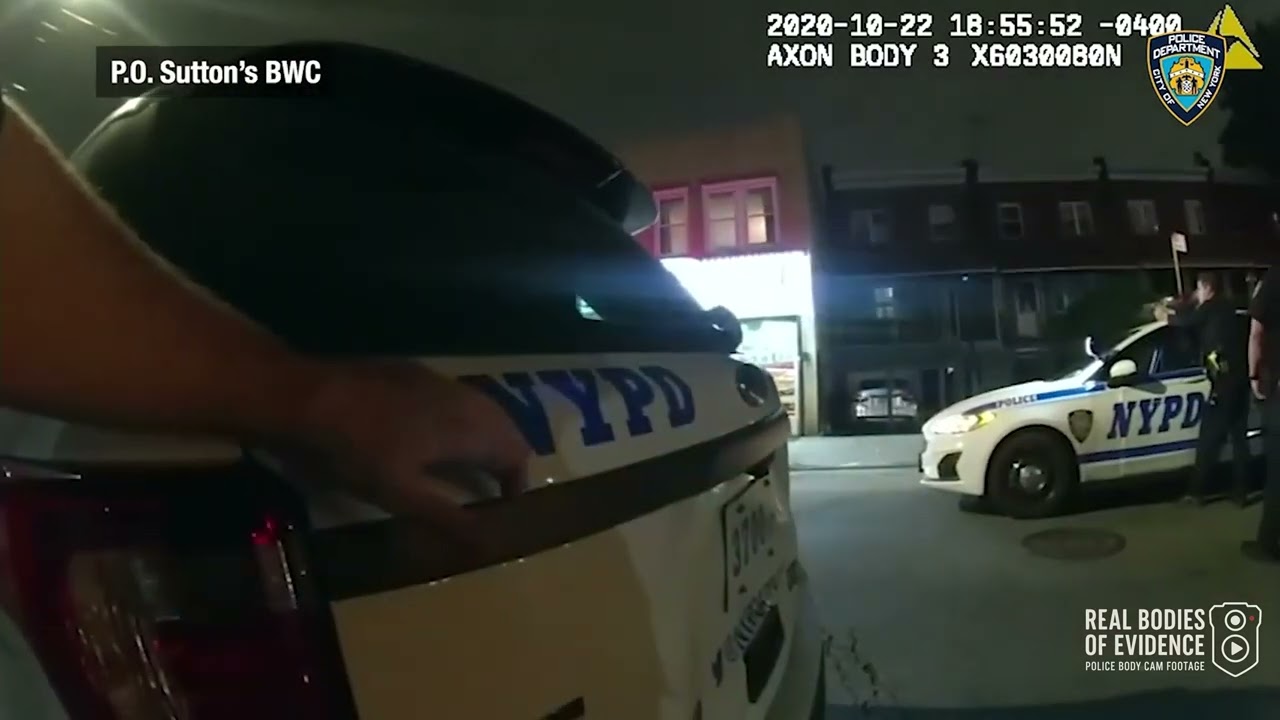 TREVAUGHN WILSON threatens NYPD with a pellet gun, gets tazed!