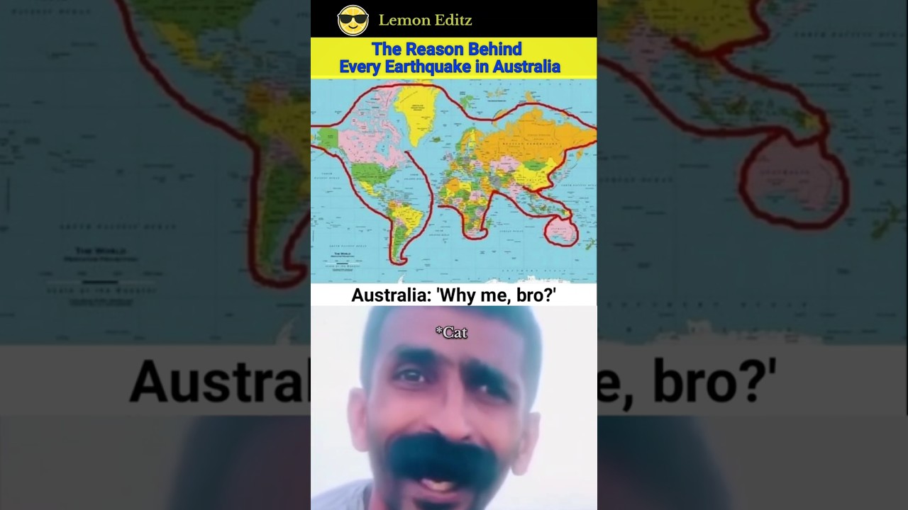 Funny Geography Map 🗺️ | The World Map Is a Cat 🐱 