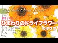 【ボタニカルDIY】簡単！！可愛すぎるひまわりのドライフラワー作り(詳しい解説付き)