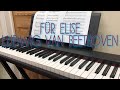 Fr elise  ludwig van beethoven  piano cover 