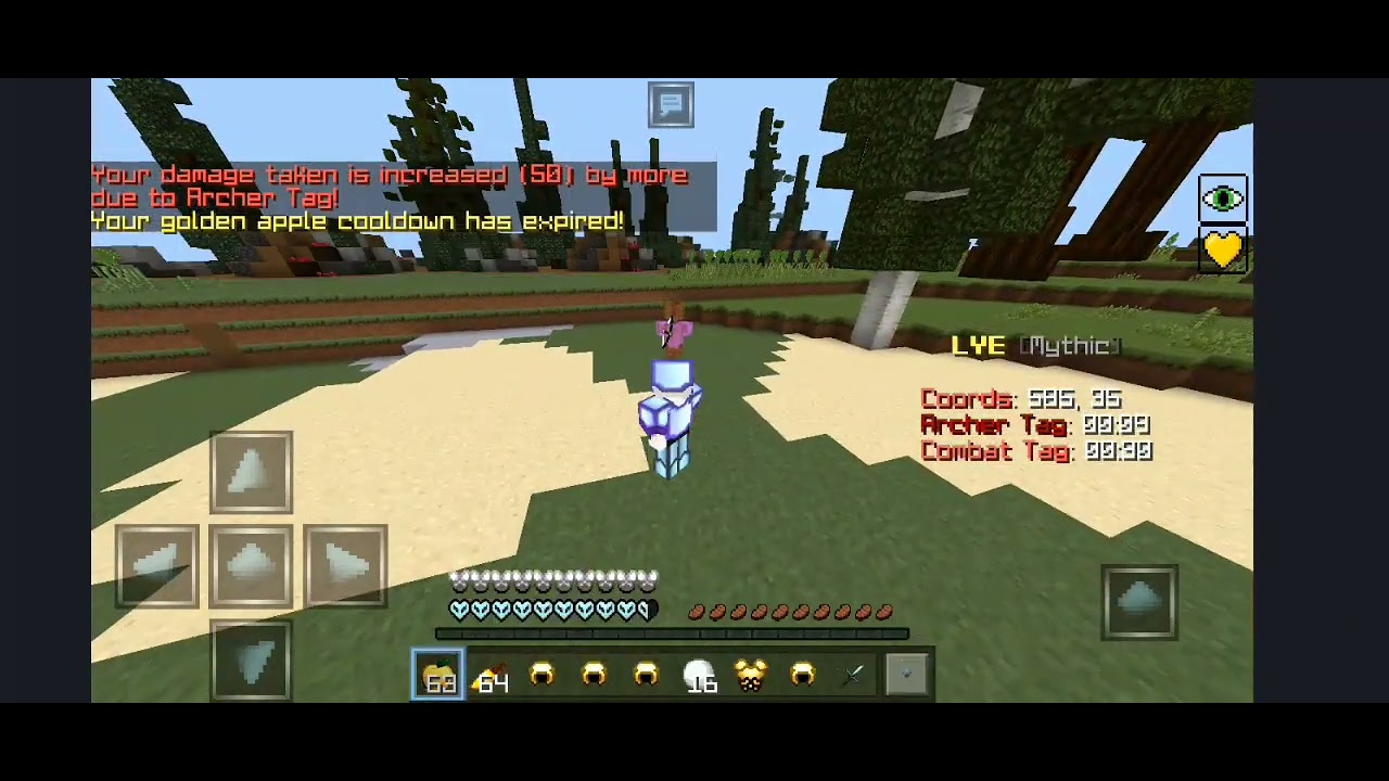 Lye HCF Experience | Archer Mark & Custom Enchants