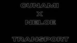 Cunami x Neloe-Transport