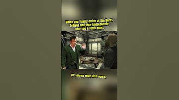 When you finally arrive at the Bards College and they immediately give you a fetch quest  #skyrim