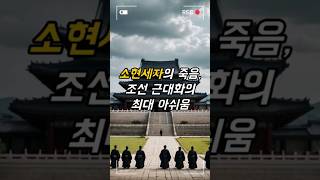 소현세자의 죽음으로 멀어진 조선의 근대화 #역사 #지식 #사실 #이슈 #소현세자 #쇼츠 #상상 #shorts #history