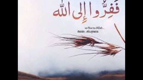 تلاوة هادئة بصوت الأخ لرجان محمد عبد الحميد  ــ سورة الذاريات ــ الجزائر