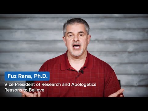 Are Humans Exceptional? | Fuz Rana