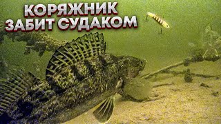 ГЛУХОЙ коряжник ЗАБИТ рыбой / ВОЛШЕБНАЯ лунка, СУДАКИ и ЩУКИ только опустишь ПРИМАНКУ!!!