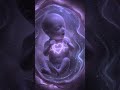 Week 39 Pregnancy: Baby Kicks & Growth in 3D