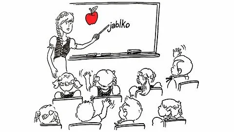 Dual language immersion and bilingual education