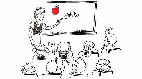 Dual language immersion and bilingual education