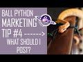 BALL PYTHON Marketing Tip #4 | What Should I Post About?