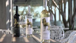 Cavalli Wine & Stud Farm