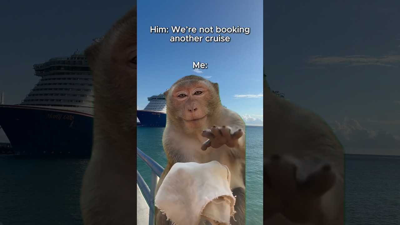 “We’re not booking another cruise…”👀🚢