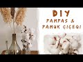How to DIY Pampas Grass & Cotton Flowers from Dollar Tree | Çöp şişten Pamuk Çiçeği ve Pampas Yapımı