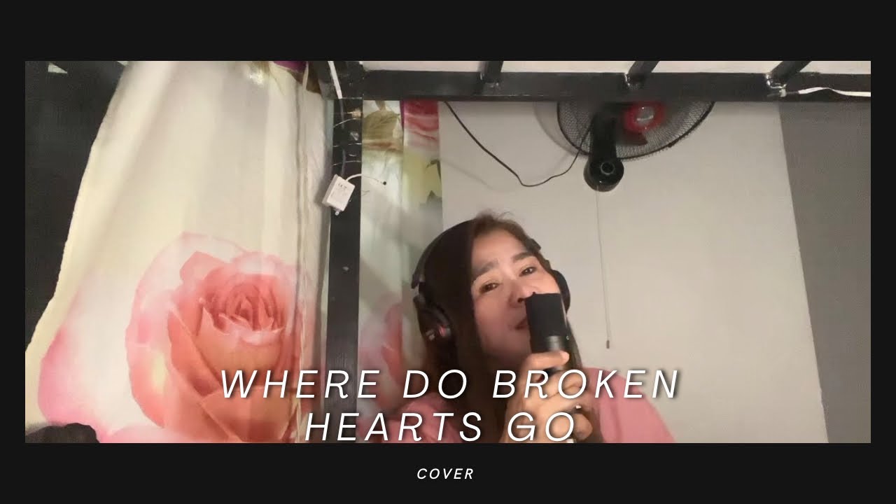 Where do broken heart go Cover YouTube