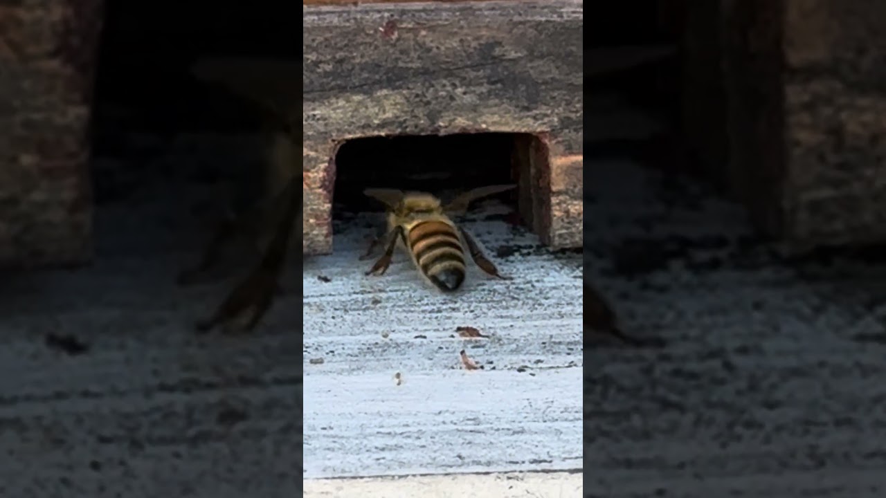 14 февраля 2026 г.