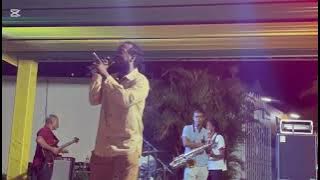 Droop Lion & friends ..pt 2