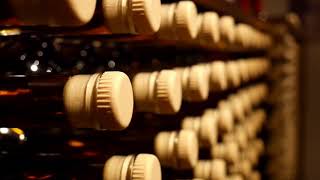 A 200 Year Old Place With 5500 Years Of History