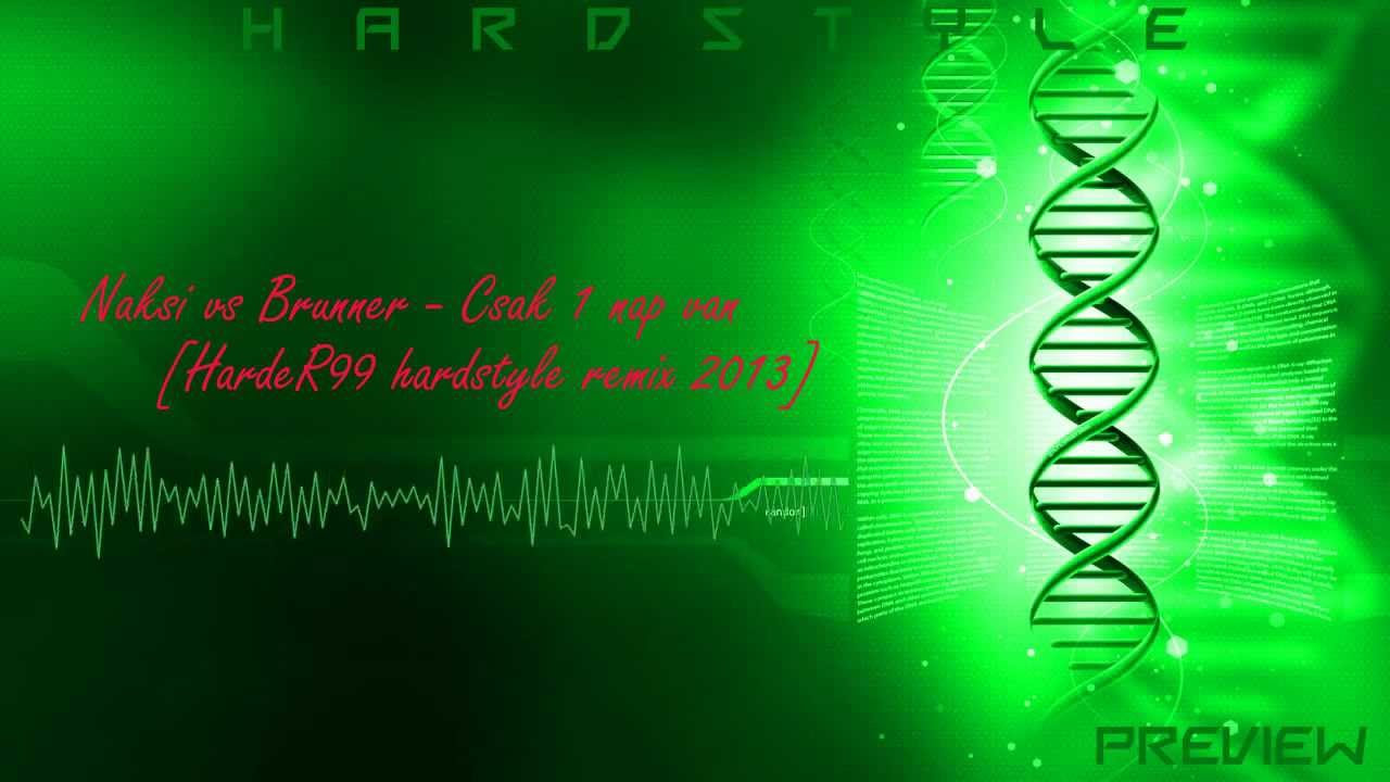[Hardstyle] Naksi vs Brunner Csak 1 nap van (HardeR99 remix) preview 2013