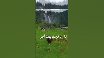 تلاوة نادرة للشيخ (محمد الليثي) رحمه الله