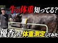 【和牛 畜産業】優香くんのお肉は何キロ増えているのか量ってきました