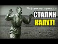 «Сталин— КАПУТ! Плен! Плен!»- кричал дезертир немцам, но немного перепутал... Рассказ  офицера