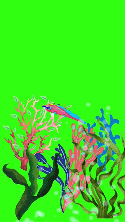 Aquarium green screen #shorts #shortsfeed #aquarium