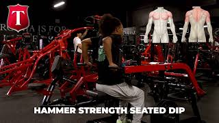 Hammer Strength Seated Dip