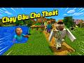 Thế Giới Minecraft Bất Ổn Với Những Tình Huống Siêu Hài Hước 🤣 Hoàng ACC