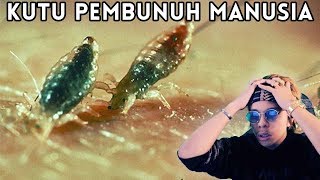 BAHAYA! Kutu Pembunuh Manusia! 5 KUTU BERBAHAYA!