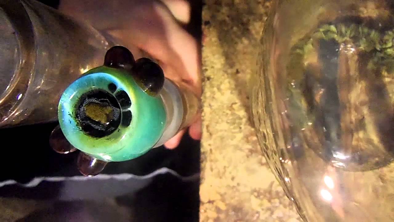 QWISO Fullmelt Meltshot