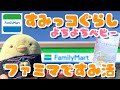 【ファミマ限定】すみっコぐらし☆よちよちベビーアクキー開封