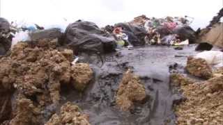 9 Octobre 2013 Allocine Sortie Film Cinema Le Film De La Rentree