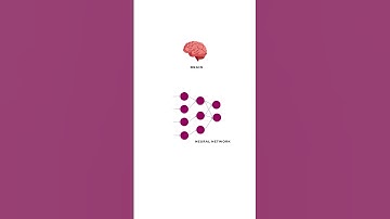 What is a Neural Network? Learn in 30 seconds! #neuralnetworks #shorts