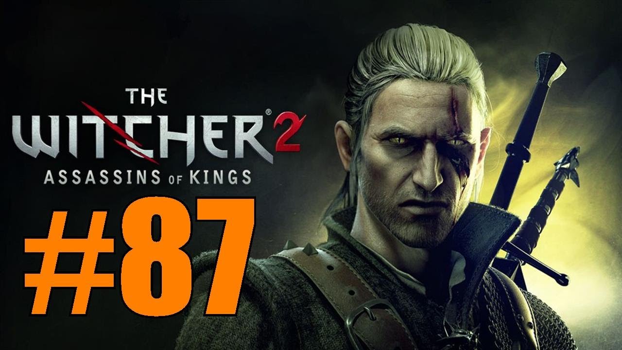 The Witcher 2 Guide The Witcher 2 Guide