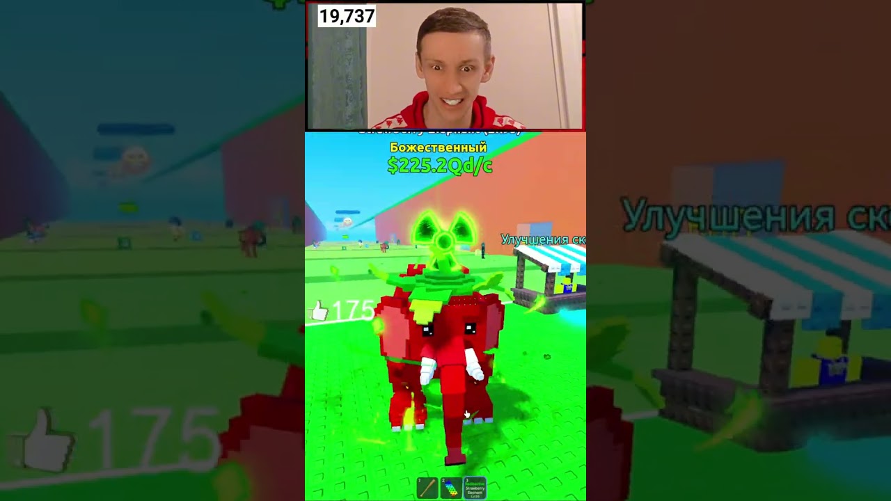 ЦУНАМИ Strawberry Elephant 