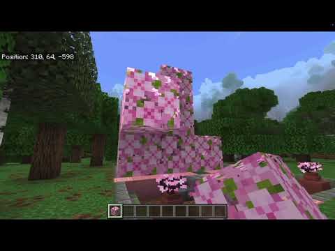 My first VIDEO!! 