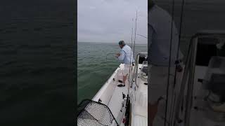 Daniel catching Red#3 20200314 090027