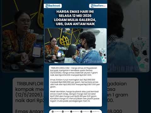 Harga Emas Hari Ini Selasa 12 Mei 2026 Logam Mulia Galeri24, UBS, dan Antam Naik