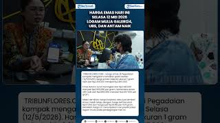 Harga Emas Hari Ini Selasa 12 Mei 2026 Logam Mulia Galeri24, UBS, dan Antam Naik