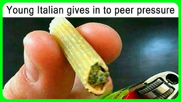 The Tourist 2010 explained by an idiot