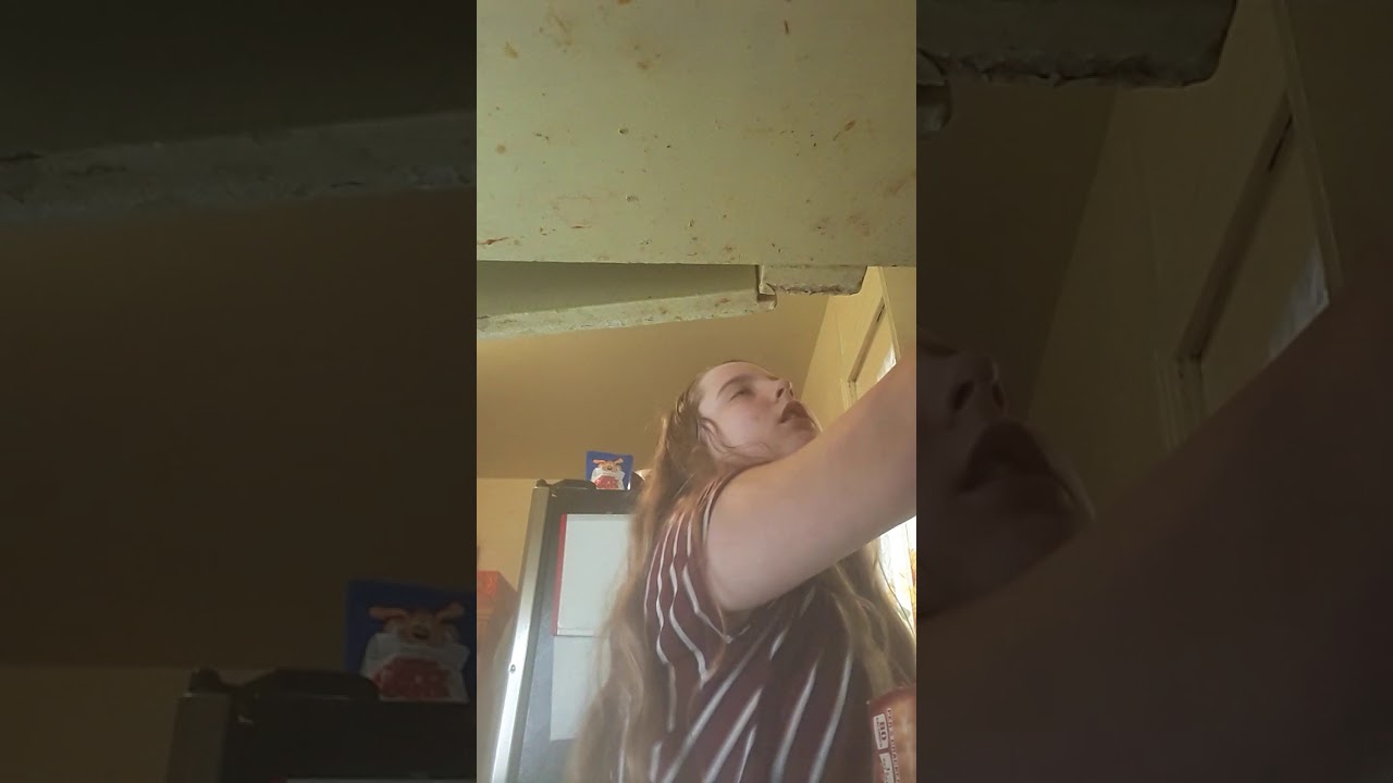 Animal video - YouTube