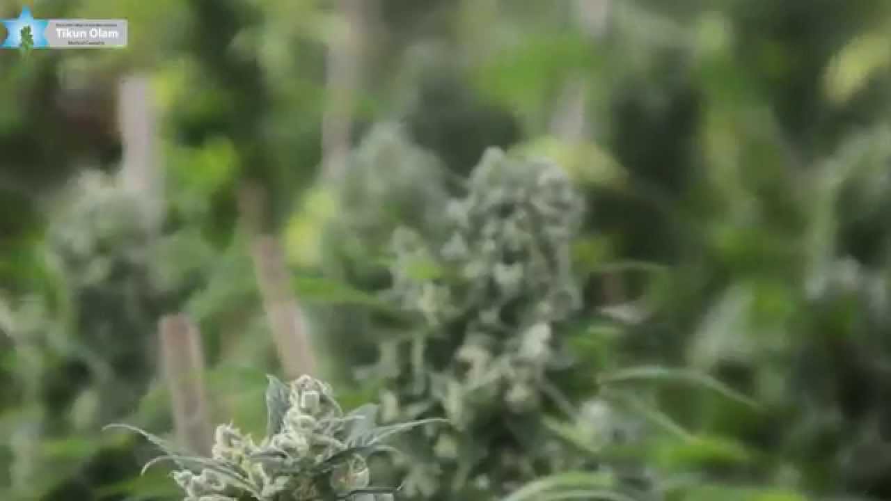 From Cutting to Product