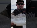 Marcell pergető túrája a Balatonon - új egyéni rekordjával!  #guideservice #balaton #zander