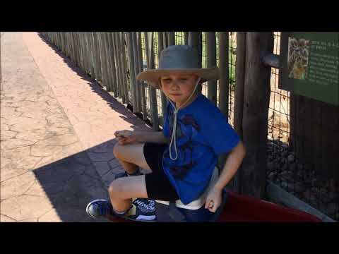 Mikey and Bob go to the Houston Zoo in September 2017