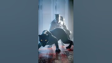 Thumbnail of Do you like the black panther tiktok trend? 🐈‍⬛😻 LeoNata family #shorts