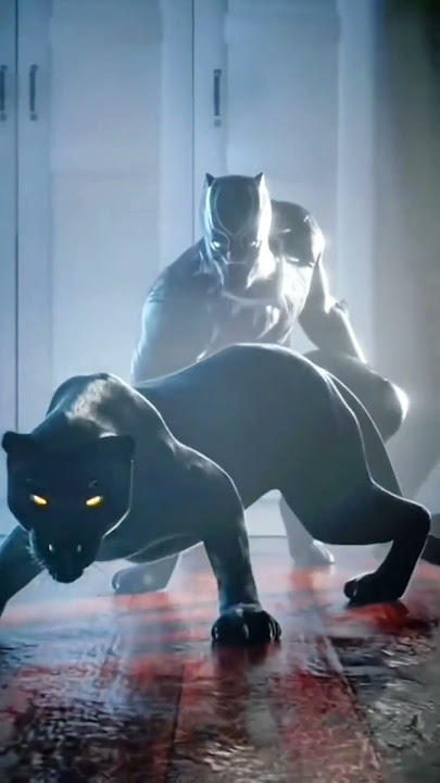 Do you like the black panther tiktok trend? 🐈‍⬛😻 LeoNata family #shorts